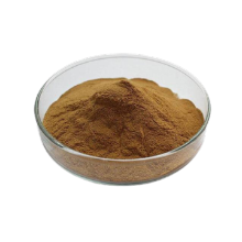 natural antioxidant rosemary extract